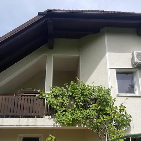 Family House In The Vicinity Of Ljubljana Apartment Logatec