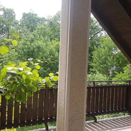 Family House In The Vicinity Of Ljubljana *